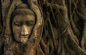 Buddha Tree Wallpaper
