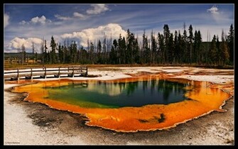 Hope You Like This Yellowstone Background In High Resolution As Much