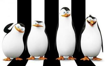 Penguins Of Madagascar Wallpaper HD