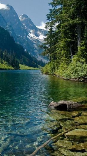 Nature Nexus Wallpaper HD And Background
