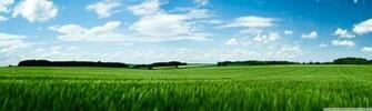 Green Field 4k HD Desktop Wallpaper For Ultra Tv Dual