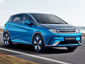 Byd Dolphin Wallpaper