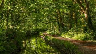 Wallpaper West Devon England River Trail