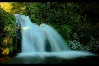 Water Nature Trees Photography Waterfall Wallpaper Hq