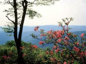 Blue Ridge Mountains Screensaver Screensavers