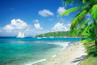Tropical S T5 Caribbean Beach Print