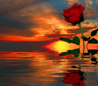 Sunsets And Sunrises Background Background Image