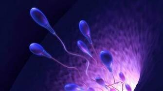 Sperm Abstraction Abstract Bokeh Life Sex Sexual Medical