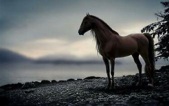 Horse Wallpaper Top Background