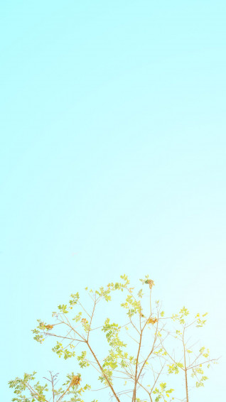 Minimalist Spring Wallpaper