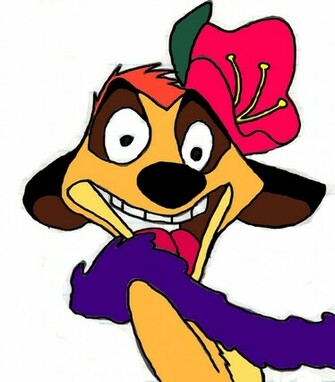Timon Pic Picture Photo Wallpaper
