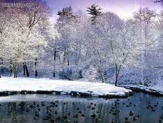 Beautiful Scenery Yosemite