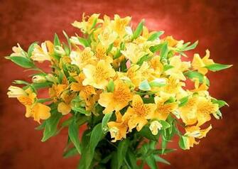 Bright Sunny Day Wallpaper I Wish You A