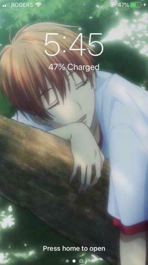 User Uploaded Image Fruits Basket Wallpaper
