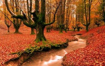 Picture Fall Desktop Wallpaper Html