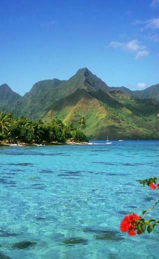 Thought Provoking Summer Wallpaper For Windows Phone