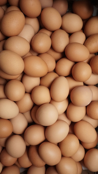 A Pile Of Eggs Sitting Next To Each Other Photo Majalengka