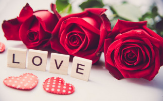 Love Roses Wallpaper