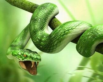 3d Animal Snake HD Wallpaper