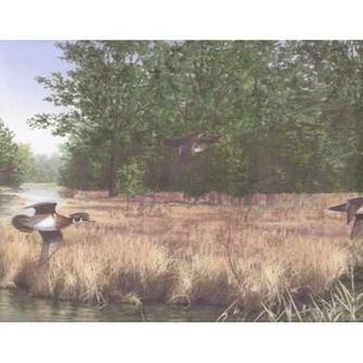 Lake Scenery Flying Ducks Wallpaper Border