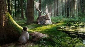 Moose Wallpaper HD