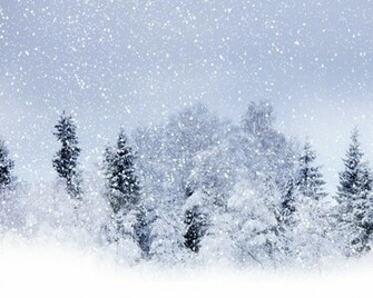 Beautiful Wallpaper Snowfall