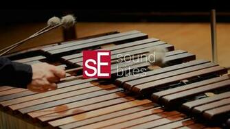 Se Electronics Soundbites Rnt Marimba