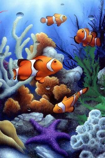 Colorful Underwater Coral And Fish iPhone Wallpaper