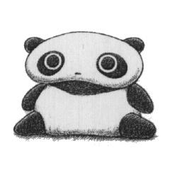 Tarepanda Image Wallpaper And Background Photos