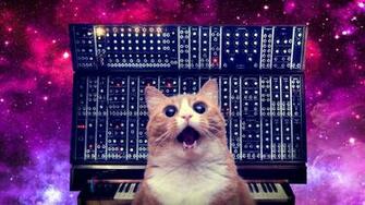 Moog Cat Nebula 4k Ws Wallpaper