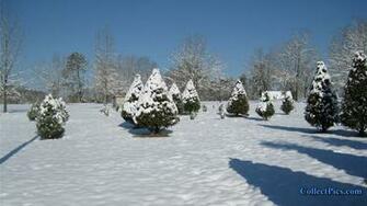 Snow Farm Wallpaper HD