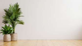 The Ultimate Roundup For Best Office Background Zoom Wallpaper