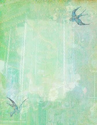 Bird For Pictures Birds Texture Vintage
