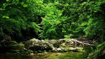 Wallpaper Landscape X Background