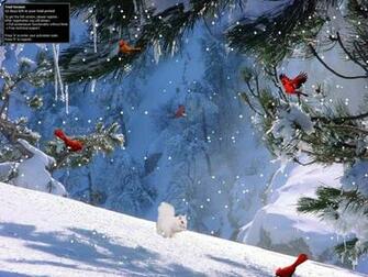 Winter Wallpaper