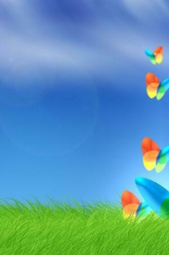Msn Bliss iPhone Wallpaper