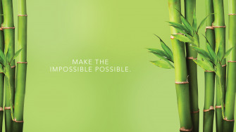 HD Bamboo Background Wallpaper