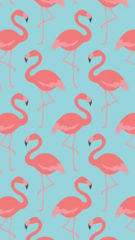 Flamingo Pattern Apple iPhone 5s HD Wallpaper