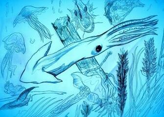 Url Picstopin Giant Squid Wallpaper