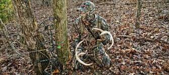 Break Up Country Mossy Oak