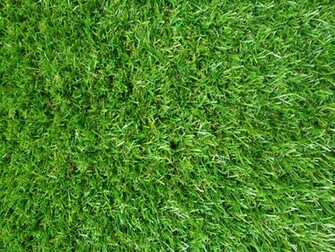 False Green Grass Wallpaper Stock Photo HD Public Domain