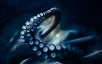 Tentacle HD Wallpaper Background Image Id