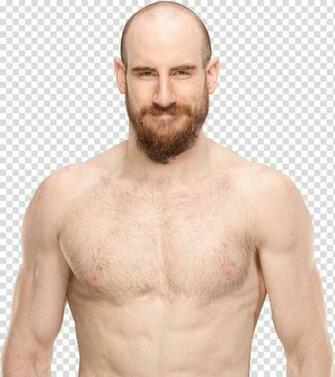 Aiden English New Transparent Background Png Clipart Pngguru