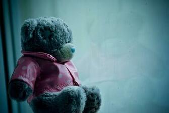 Teddy Bear HD Wallpaper Wallpaers 4u