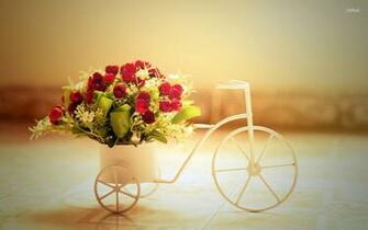 Bicycle Flower Pot Wallpaper
