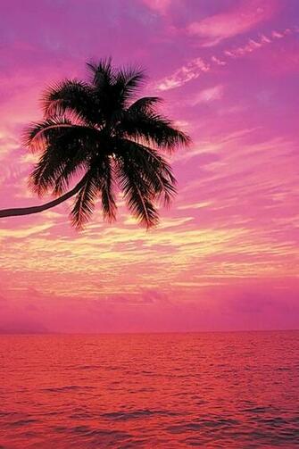 Rainbow Sunset Beach Wallpaper