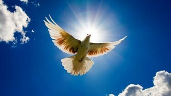 Meditation Wallpaper