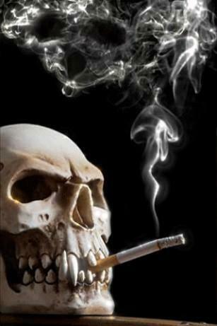 Smoking Skull Live Wallpaper For Android By