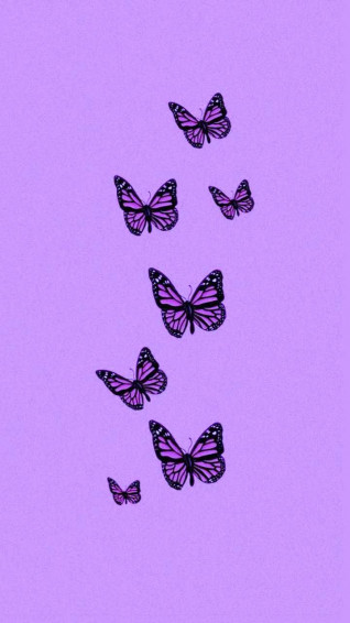 Purple Butterfly Wallpaper Discover More Aesthetic Beautiful