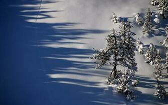 File Name High Definition Photo Of Winter Desktop Wallpaper Snow